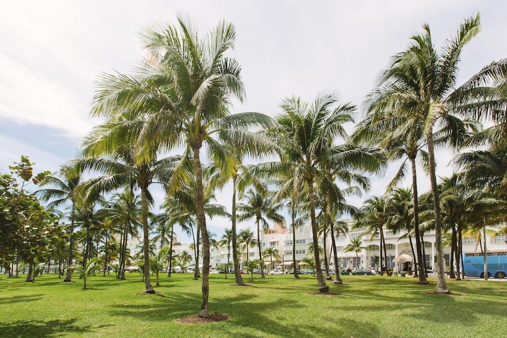 Cardozo Hotel Miami Beach Ngoại thất bức ảnh